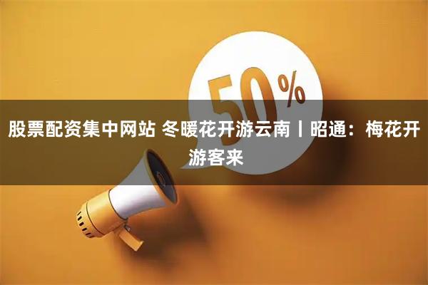 股票配资集中网站 冬暖花开游云南丨昭通：梅花开 游客来